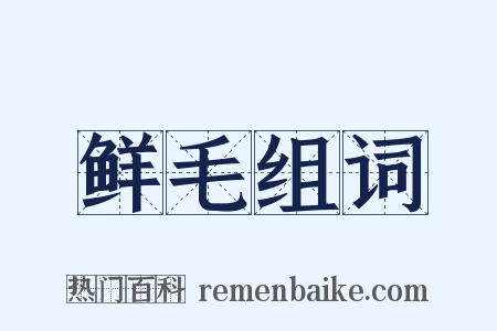 鲜毛组词是什么意思的图片